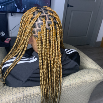 Knotless Braids for Tressa_Transforms