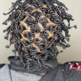 Two Strand Twist for Exquisite_Rootz