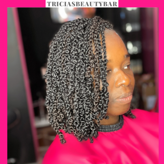 Senegalese Twists for TriciasBeautyBar