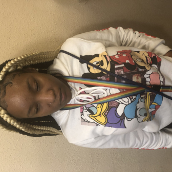 Large Box Braids for _braidsbynaay